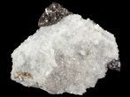 Sphalerite on Quartz - Elmwood Mine #66312-4